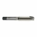 Morse Spiral Point Tap, Series 2047, Imperial, GroundUNF, 51624, Plug Chamfer, 2 Flutes, HSS, Bright,  33019